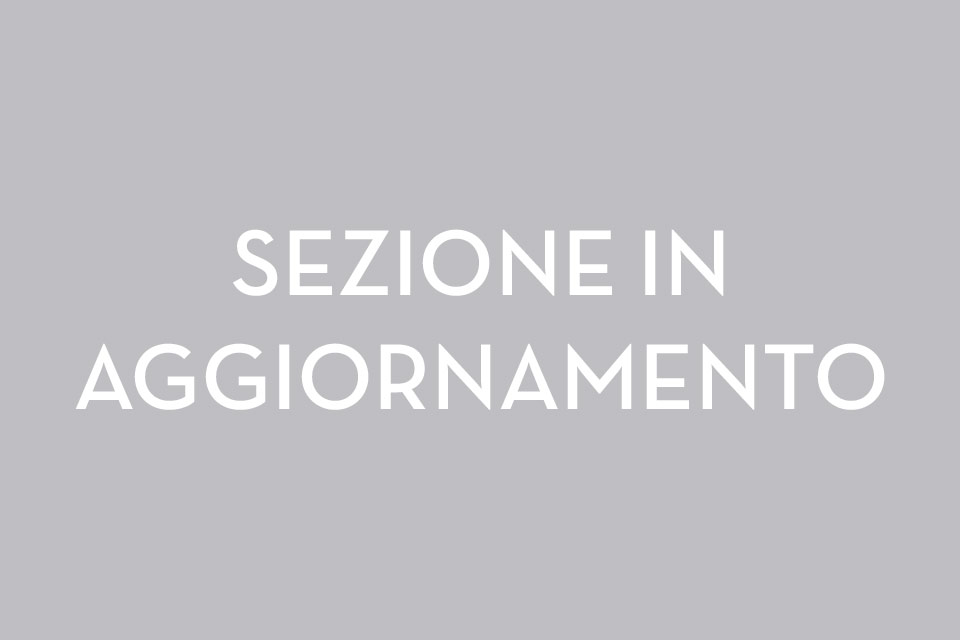 SEZIONE IN AGGIORNAMENTO